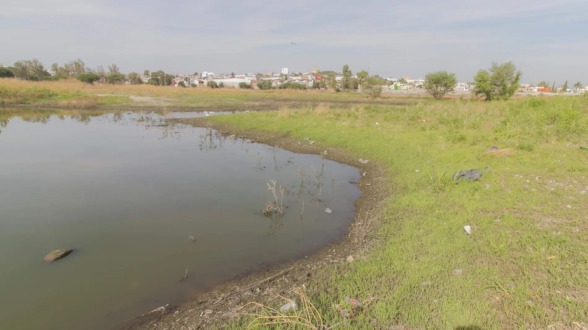 Gobierno local ve más viable la realización de la Alameda en la zona oriente. César Ortiz. El Sol de San Juan del Río.